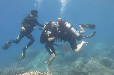 Immersioni nella baia di Nha Trang: Primo tuffo o certificati