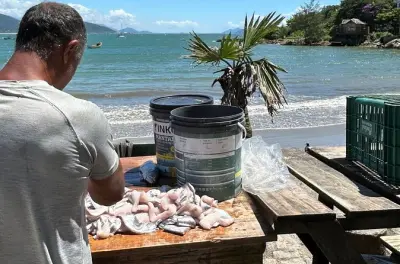 Garopaba beaches tour: 5 stops with guide and photos