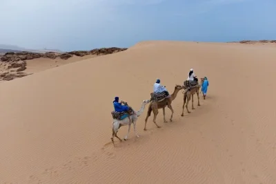 Ride camels across the agadir sand dunes, visit tifnit, and enjoy a moroccan lunch with tea. includes hotel pickup and local guide. book now.