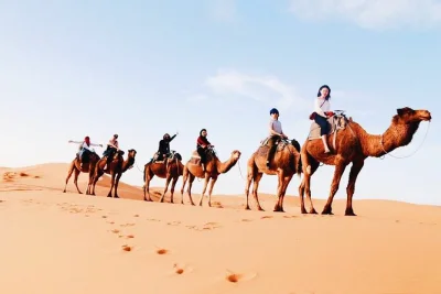 Ride camels in the merzouga dunes, sleep under saharan stars, and cross the atlas mountains from fez to marrakech. includes pickup & local guide.