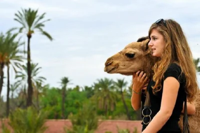 Atlas mountains and agafay desert day trip from marrakech. visit berber villages, enjoy a camel ride, and taste local food. small group tour.