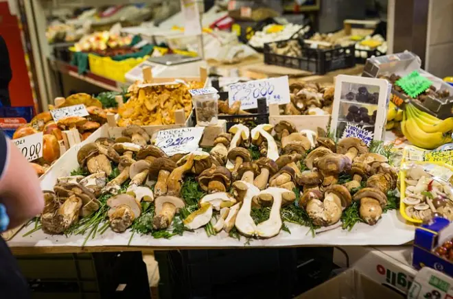 Market tour and cooking class in Trento: Make pasta and tiramisu