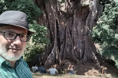 Assomada tour from Santiago: Market, Poilão tree & Groggu tasting