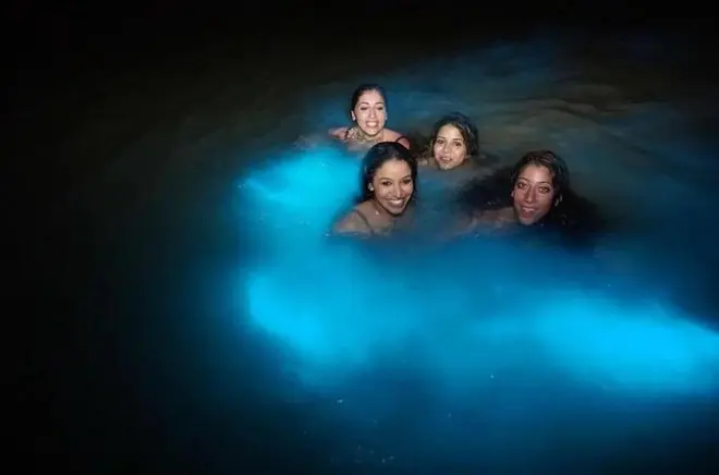 Montego Bay Bioluminescent Night Swim Tour
