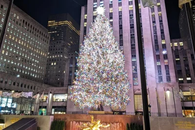 Feel the festive buzz of nyc on a holiday lights tour from times square to rockefeller center. includes walking stops, local guide, and evening city views.
