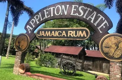 YS Falls & Appleton Estate Rum Tour ab Montego Bay