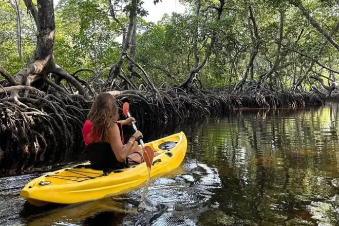 Kayak tra le mangrovie di Mida Creek a Watamu con guida e pickup