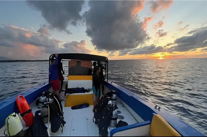 Plongée de nuit sur épave à Anguilla : Vie marine et bioluminescence