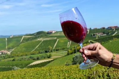Langhe Weinregion ab Turin: Privater Wagen mit Chauffeur