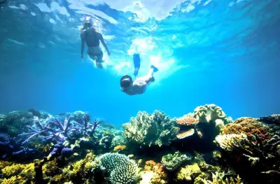 Snorkeling in Seminyak: Blue Lagoon & Ubud Waterfall