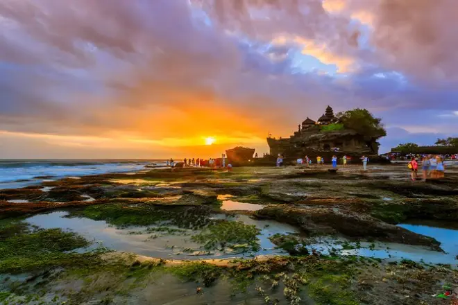 Ubud & Tanah Lot Sunset Tour from Seminyak: Private, All-Day