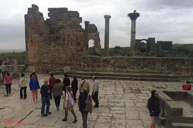 Von Fès zu den römischen Ruinen von Volubilis und Moulay-Idriss