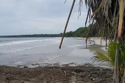 Parque nacional Cahuita: Playas y aventura con animales