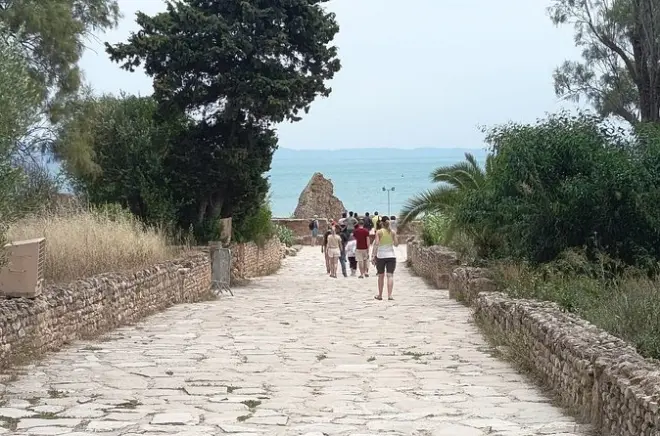Tunis, Carthage & Sidi Bou Saïd tour from Hammamet: Private guide