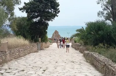Túnez, Cartago y Sidi Bou Saïd desde Hammamet: Guía privado