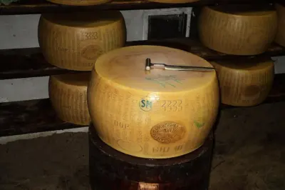 Parma Food-Tour mit Fabrikbesuchen: Käse, Balsamico, Prosciutto