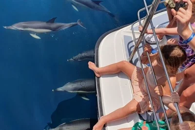 Feel the excitement of dolphin watching from lagos on a stable catamaran, with shaded seating, kids’ safety spots, and live crew commentary. wheelchair accessible.