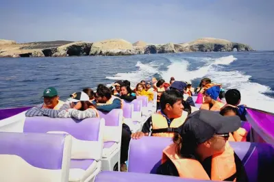 Paracas Minibuggy-Tour: Ballestas-Inseln und Wüstentour