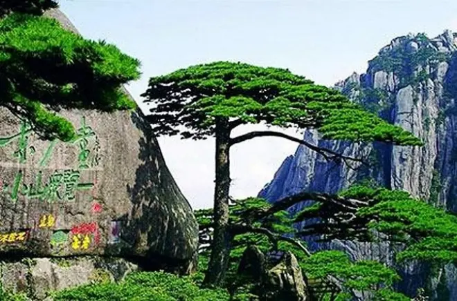 Huangshan día privado: Montaña amarilla y calle antigua de Tunxi