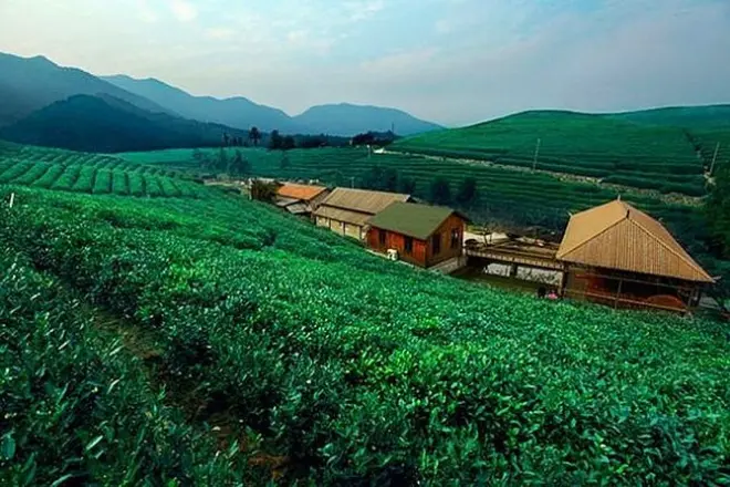 Caminhada na montanha Tianzhu em Hangzhou: Templos e vila do chá