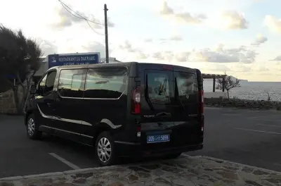 Cap-Bon desde Hammamet: Seis sitios antiguos en un día