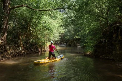 Disfruta la frescura del río palomino mientras haces paddle surf con guía local, recogida en hotel en moto y todo el equipo incluido. una aventura corta y refrescante en colombia.