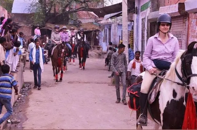 Equitazione a Jaipur: Cavalli Marwari sui sentieri Aravalli