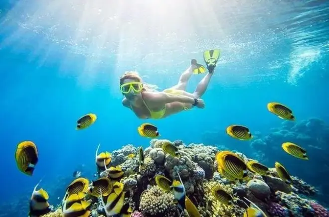 Snorkeling à Dahab : Canyon et Blue Hole