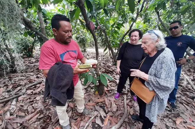 Chocolate Workshop at Cacao Farm from Guayaquil: Make Chocolate