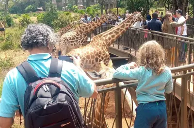 Centro giraffe e Bomas Kenya: Giraffe da nutrire e danze tribali