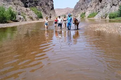 Gorges de Sidiflah : Visite privée d’une demi-journée depuis Skoura