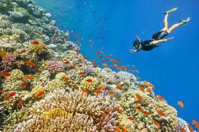 Snorkeling à Dahab : Blue Hole et Ras Abu Gallum en jeep et chameau