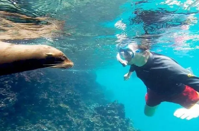 Snorkel em Santa Fe, Galápagos: Dois recifes com almoço