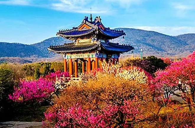 Purple Mountain em Nanjing: Subida ao pico e descida de teleférico