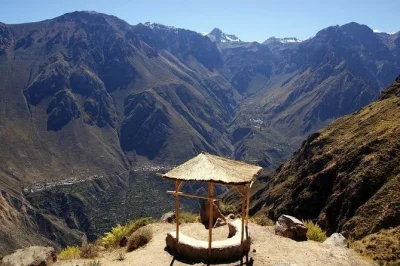Explore the colca valley in one day. see wild birds, alpacas, llamas, hot springs, and small towns with colonial churches. includes guide & transport.