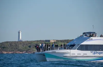 Crociera a Port Stephens per avvistare i delfini nel parco marino