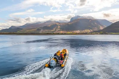 Loch safari 1 heure depuis Fort William : Ben Nevis et faune sauvage