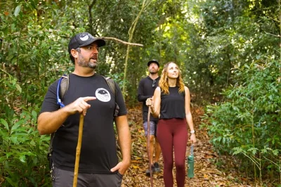 Explore a trilha secreta de maui com um guia local, veja plantas nativas raras e entenda a importância da bacia hidrográfica da ilha. inclui lanches e transporte.