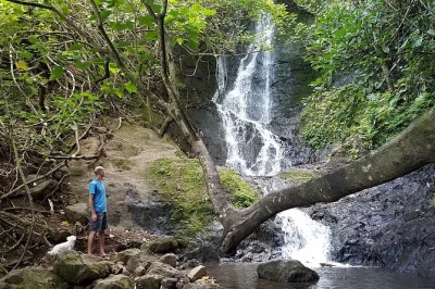Erkunde oahus regenwald per rad und zu fuß, schnorchle am diamond head mit lokalem guide. inklusive ausrüstung und abholung. jetzt dein abenteuer sichern!