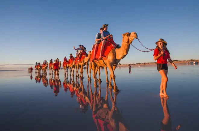 30-minute camel tour Cable Beach Broome: Leather saddle ride