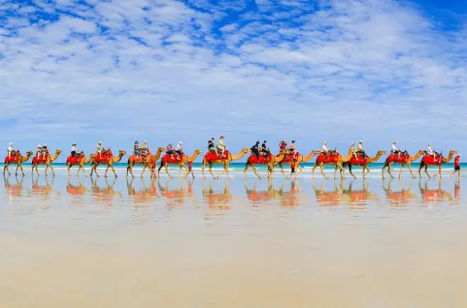 Camel ride Cable Beach Broome: 40-minute morning tour