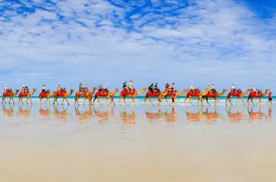Camel ride Cable Beach Broome: 40-minute morning tour