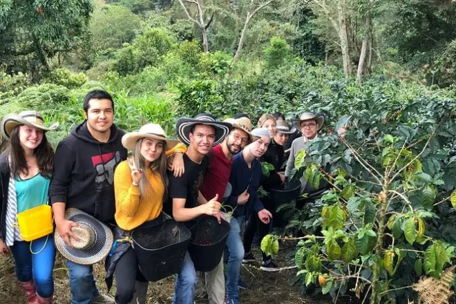 Valle di Cocora, Salento e piantagione di caffè, tour guidato 8h