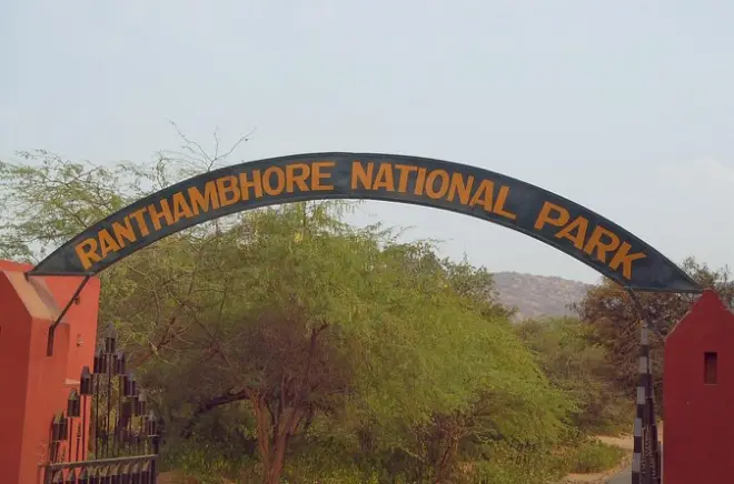 Traslado particular de Ranthambore para Jaipur só de ida