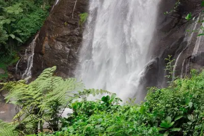 Journée aux cascades Hululu avec randonnée et caméléons endémiques