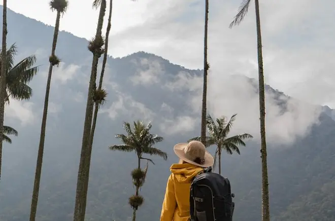 Vale do Cocora a cavalo: Palmeiras de cera e vistas incríveis