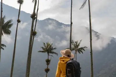 Pferdetour Cocora-Tal: Wachspalmen & Bergblick