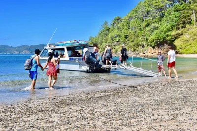 Desde paihia, disfruta un crucero en grupo pequeño por bay of islands con paradas en dos islas, snorkel, paddleboard y avistamiento de fauna local. reserva ya.