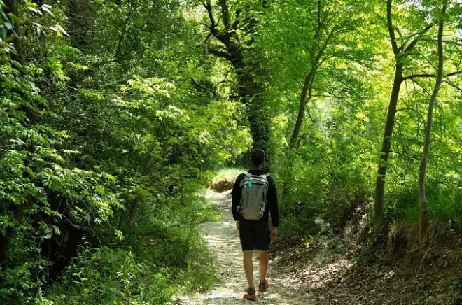 Walking Tour to Elcito Beech Forest: 6-7 Hours in Marche