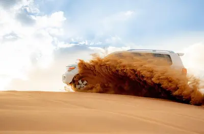Abu Dhabi Desert Safari: Dune Bashing & Dinner